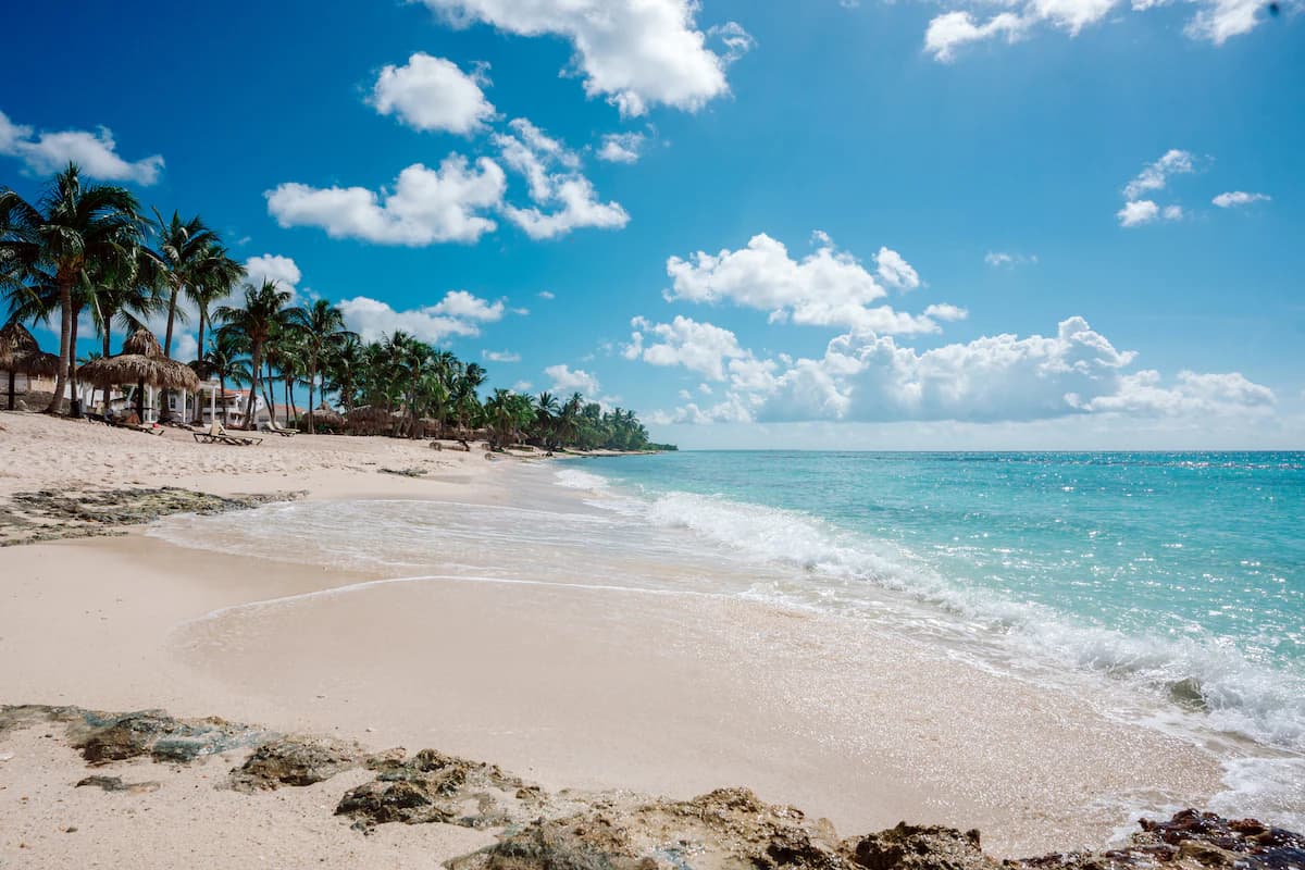 Playa de arena blanca con palmeras en Dominicus, República Dominicana